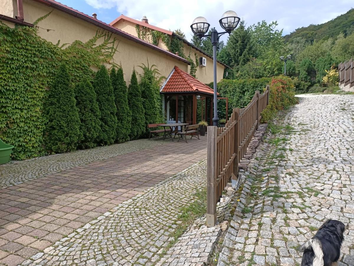 Zielone Wzgorze Vandrerhjem Wałbrzych Eksteriør bilde