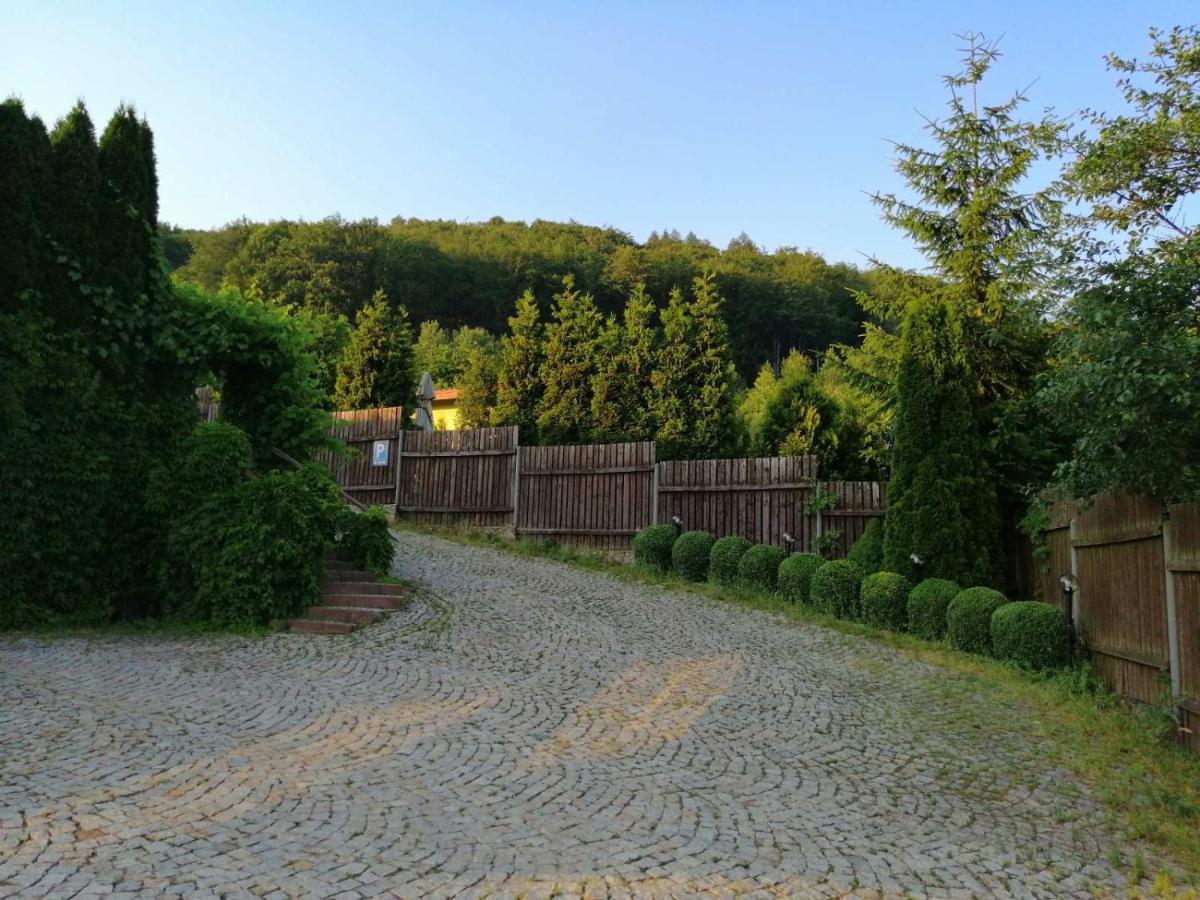 Zielone Wzgorze Vandrerhjem Wałbrzych Eksteriør bilde